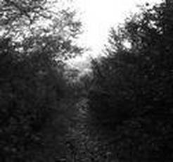 Angellore : Shades of Sorrow